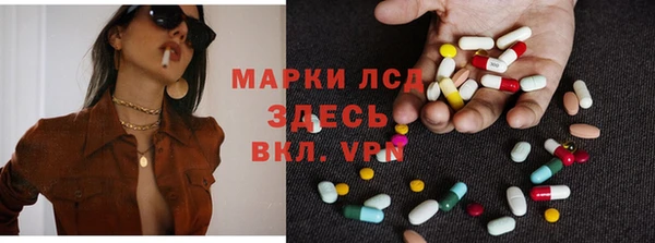 гидра Богородск