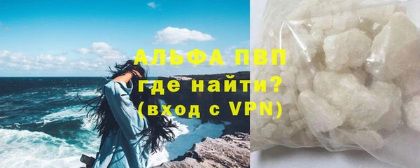 гидра Богородск