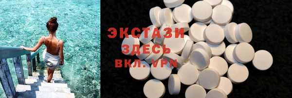 гидра Богородск