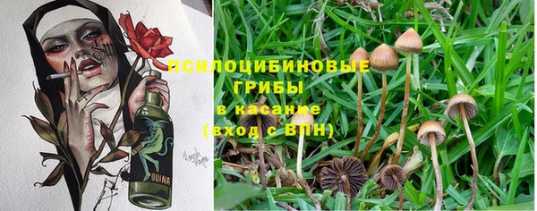 a pvp Богородицк