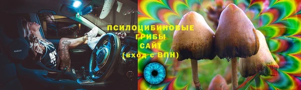 круглые Богданович
