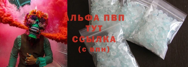 гидра Богородск