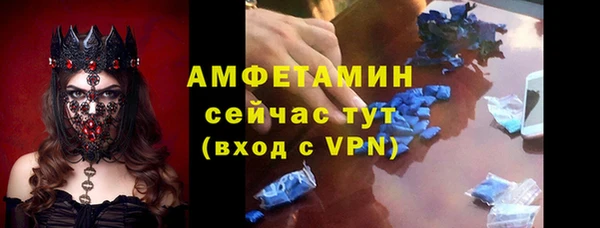 гидра Богородск