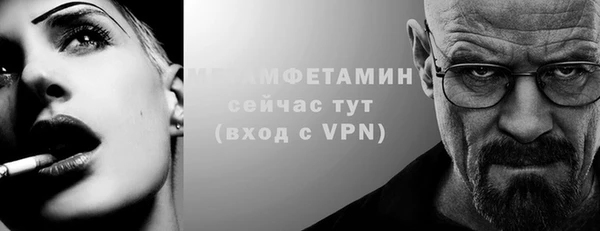 гидра Богородск