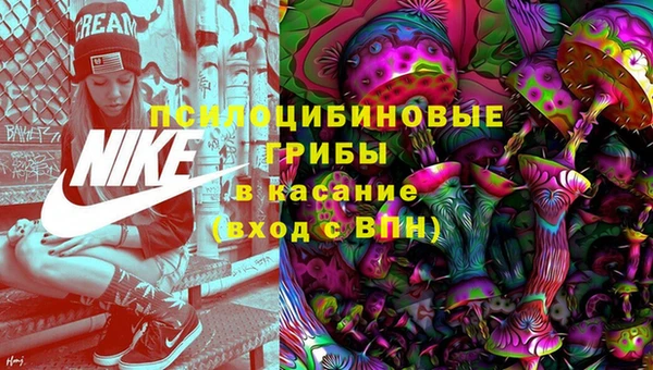 круглые Богданович