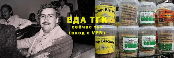 гидра Богородск