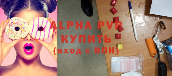 гидра Богородск