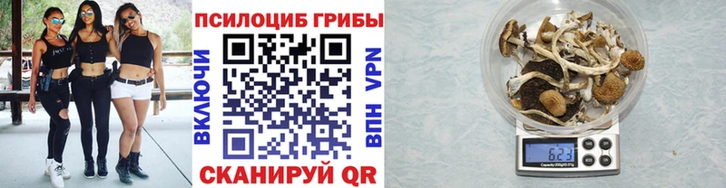 mega ссылка  Новый Уренгой  Галлюциногенные грибы прущие грибы 